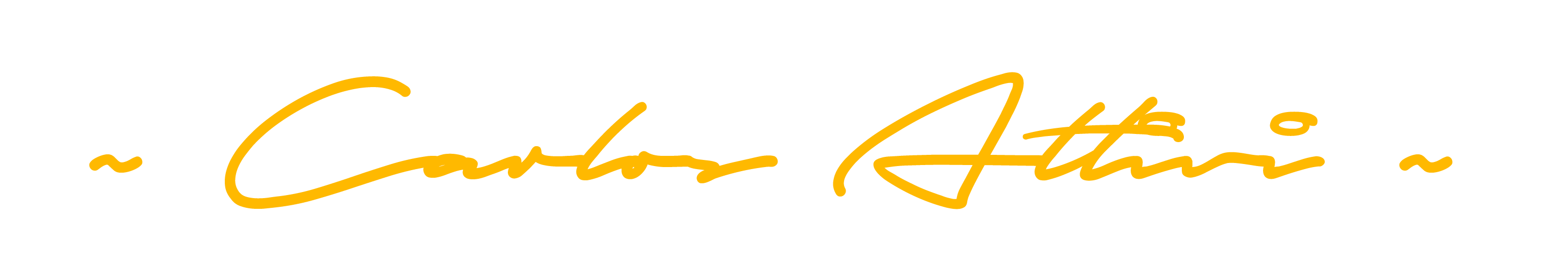 Signature du Directeur Général